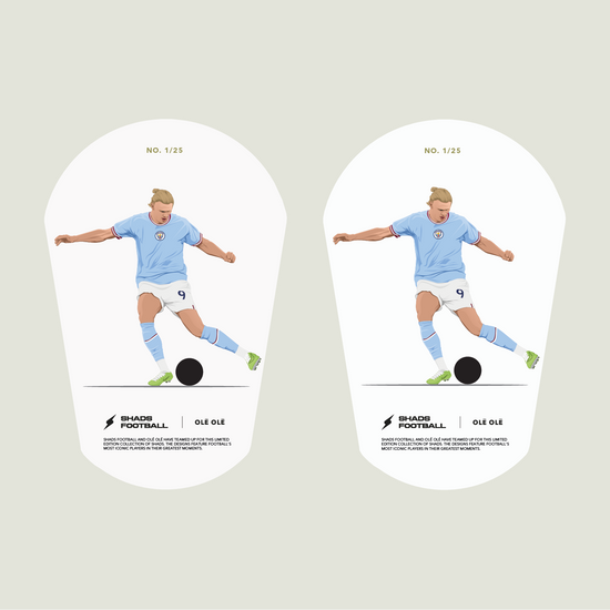 Shin Pads Standard Model