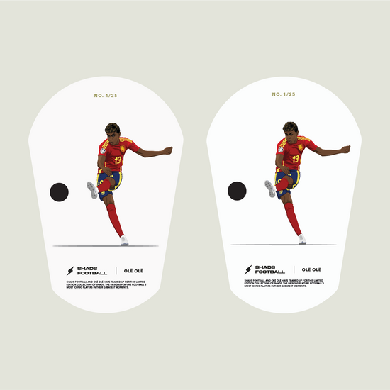 Shin Pads Standard Model