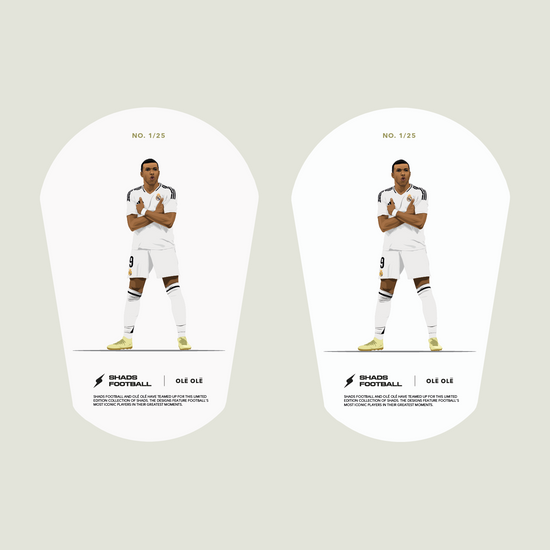 Shin Pads Standard Model